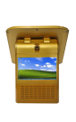 S-VM202-d'oro