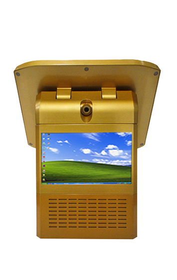 S-VM202-d'oro